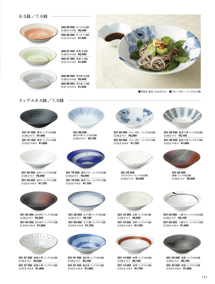 冷麺鉢 ページ171