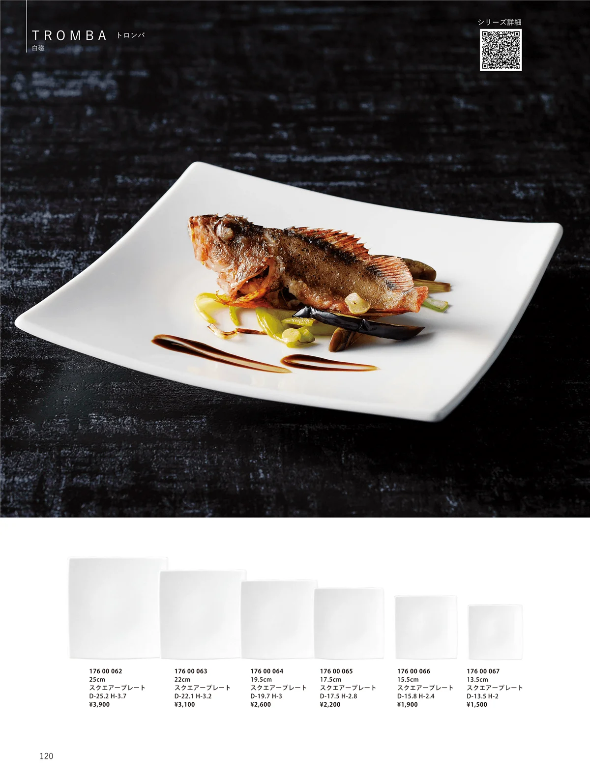 ORIGINAL_TABLEWARE_vol.23・ページ番号120・和陶オープン