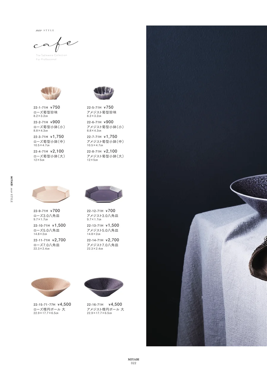 NEOSTYLE ページ22