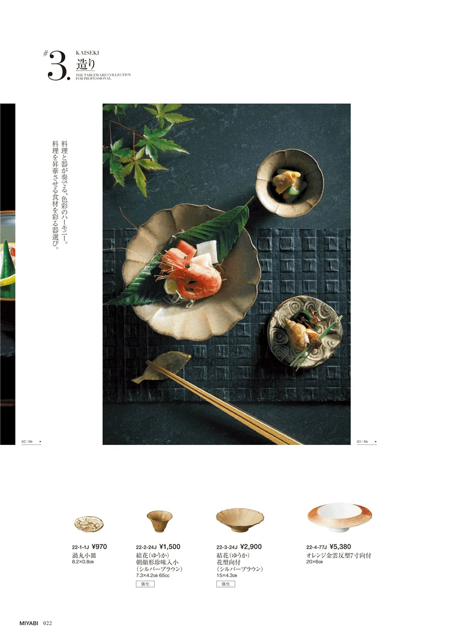 KAISEKI ページ22