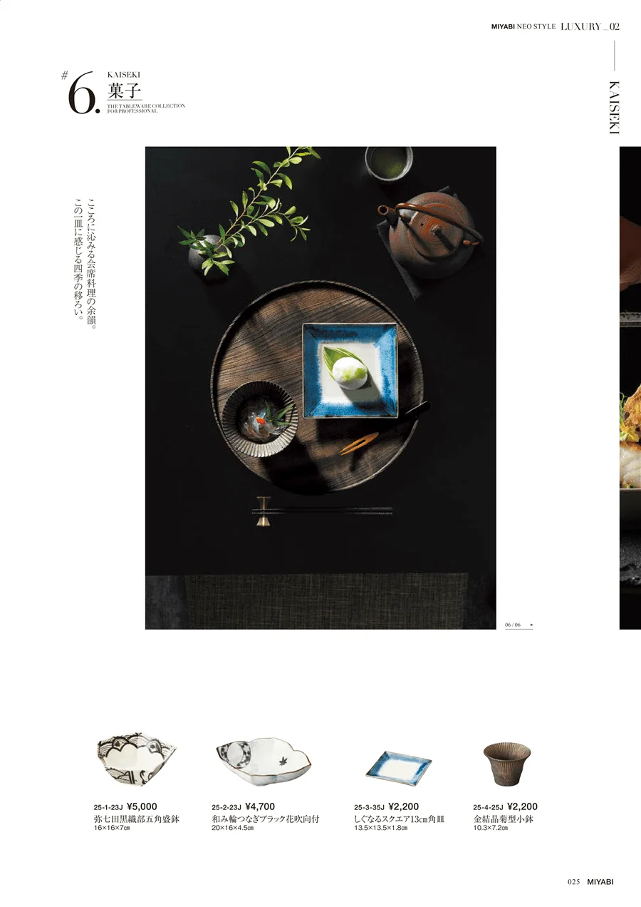 KAISEKI ページ25