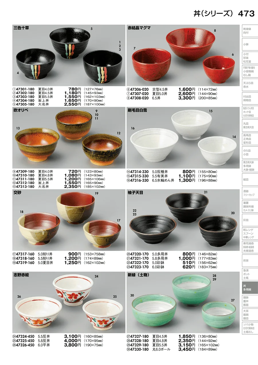丼（シリーズ） ページ473